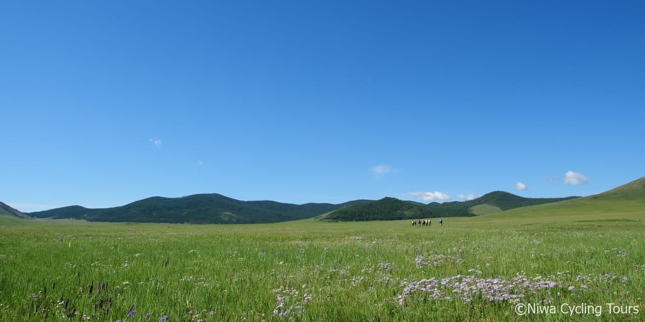 8 5 水 発 モンゴル大草原サイクリング8日間 温泉をベースに高原の花畑を巡る モンゴル 風の旅行社