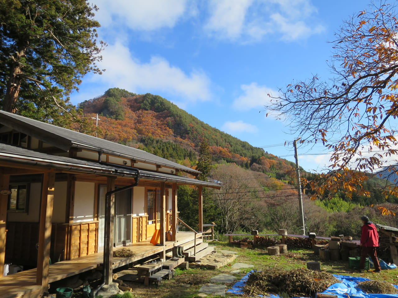 現地集合 信州上田 別所温泉で学ぶ 百薬 ひゃくやく の世界 2日間 国内旅行 風の旅行社