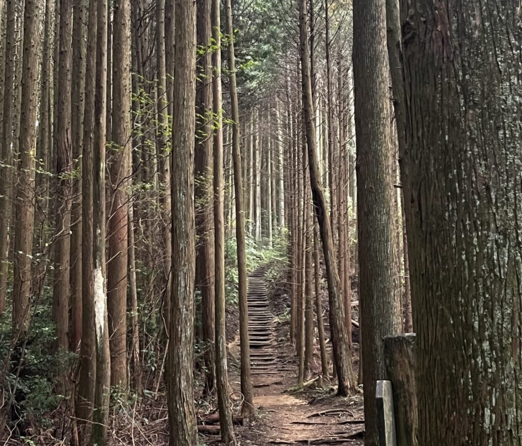 山道