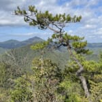 展望ポイントで、このあたりの山の特徴を説明する田中宙先生