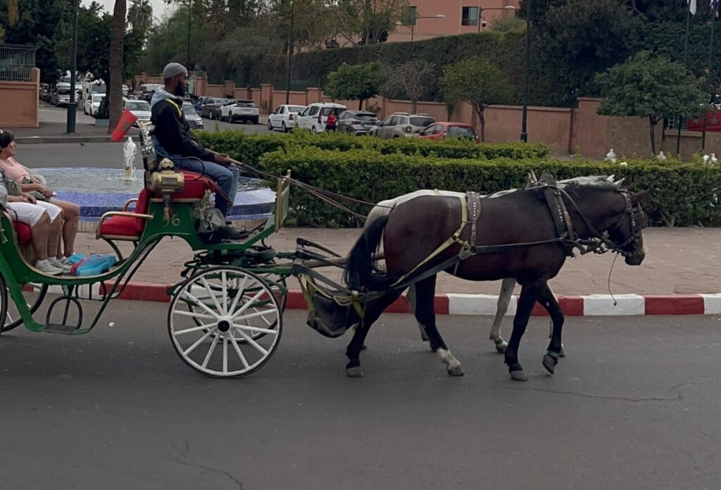 舗装道路を歩く馬車