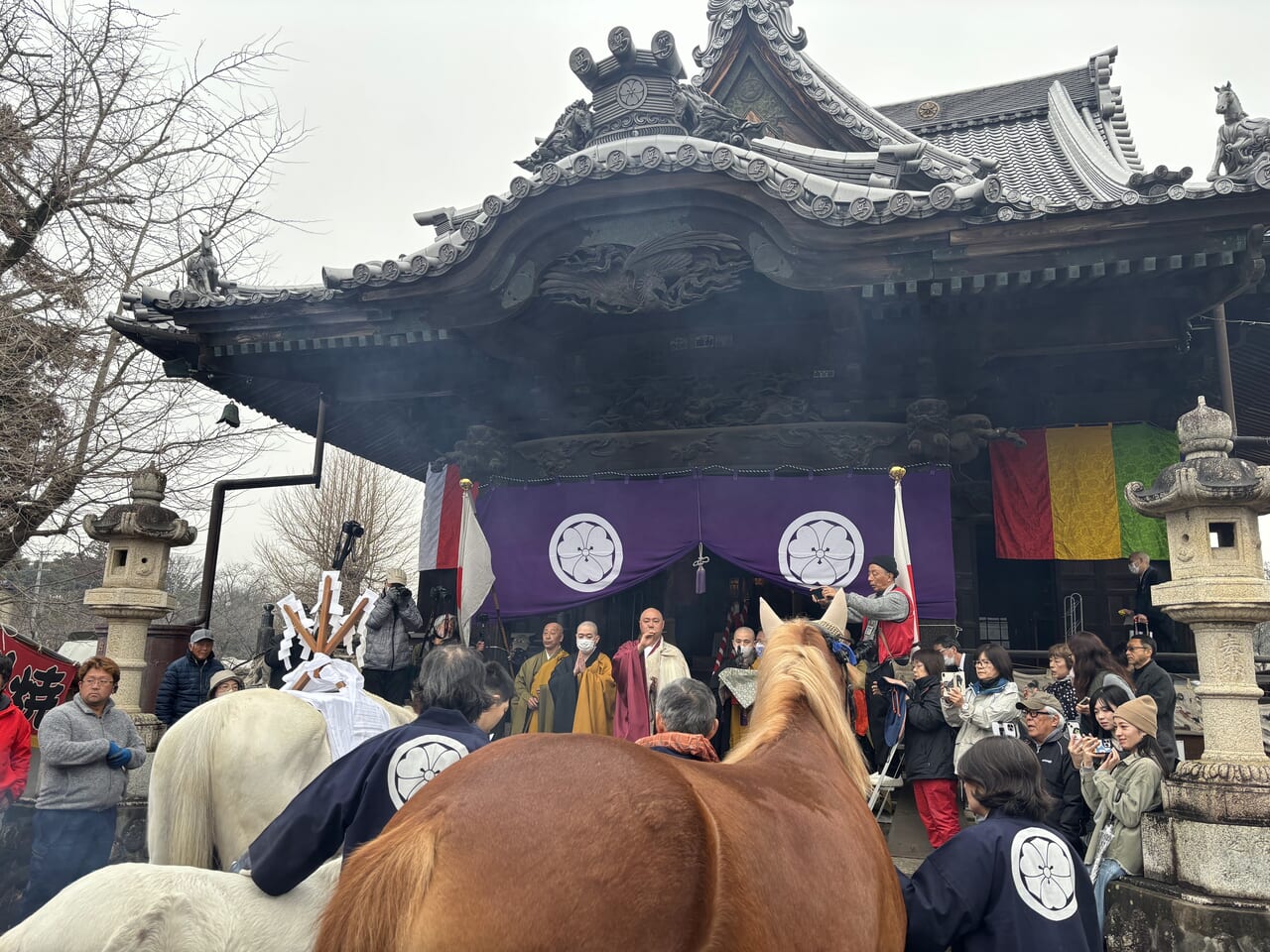 御神馬とともに御祈祷を受ける